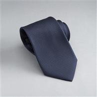 Solid Silk Tie x0026