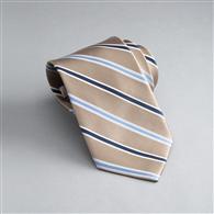 Striped Silk Tie x0085