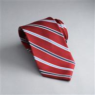 Striped Silk Tie x0085